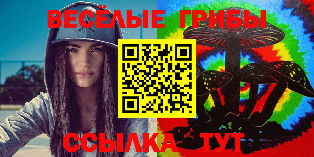 Псилоцибиновые грибы Psilocybine cubensis  Галлюциногенные грибы Cubensis  Крымск  Вход с VPN 